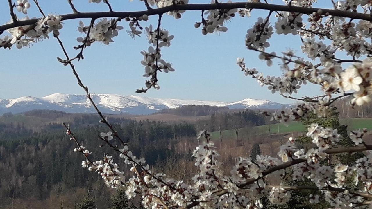 Kowalowe Skaly Spa&More Jelenia Góra Esterno foto
